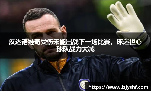 汉达诺维奇受伤未能出战下一场比赛，球迷担心球队战力大减