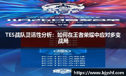 TES战队灵活性分析：如何在王者荣耀中应对多变战局