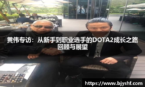 黄伟专访：从新手到职业选手的DOTA2成长之路回顾与展望