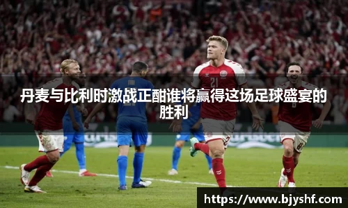 丹麦与比利时激战正酣谁将赢得这场足球盛宴的胜利